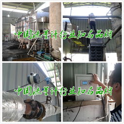 福建食品厂蒸汽流量计发展现状 聚焦技术创新与真工厂实践