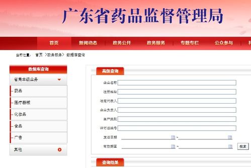 医疗器械产品技术要求开放查询 专业解读与技术服务指南